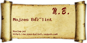 Mojzes Bálint névjegykártya